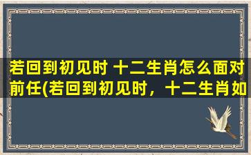 若回到初见时 十二生肖怎么面对前任(若回到初见时，十二生肖如何处理前任？)